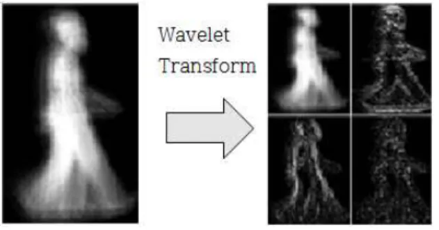 그림 3. 걸음걸이 에너지 영상의 웨이블릿 변환 Fig. 3. Wavelet transform of GEI 2.2 걸음걸이 영상에서의 특징 추출 영상 데이터와 같은 고차원의 데이터는 특징을 추출하지 않으면 계산량이 급격히 증가하여 시스템의 부하를 증가시 킬 뿐만 아니라 인식에 불필요한 정보까지도 함께 사용되어 결과적으로 인식률 저하의 원인이 되기도 한다