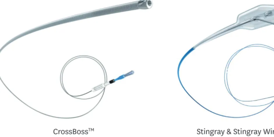 Figure 1. The CrossBoss and Stingray catheters.