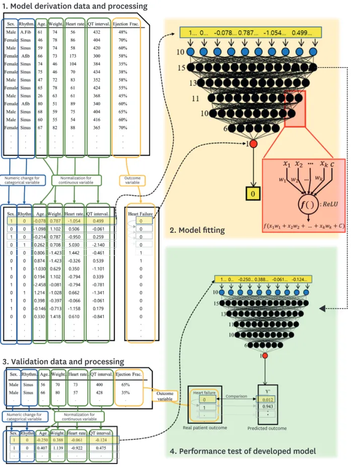 Figure 2. Development and validation of DEHF. 