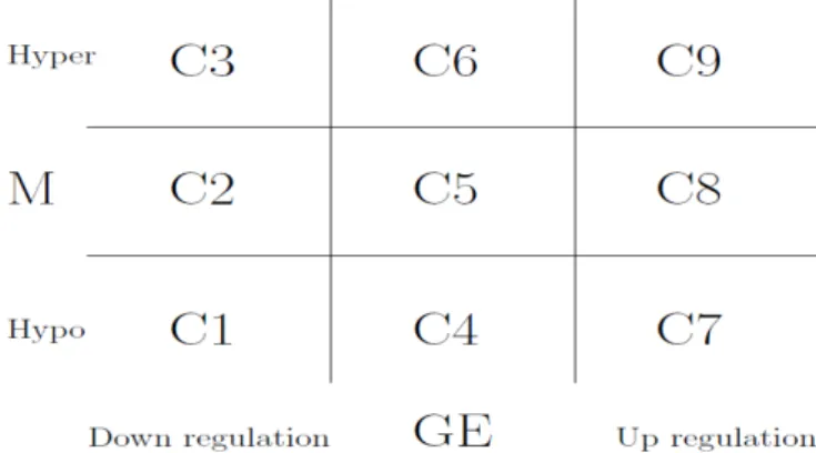 Figure 2.1. Nine categories; X-axis presents three diﬀerent gene expression status: down-regulation, no change, up-regulation.
