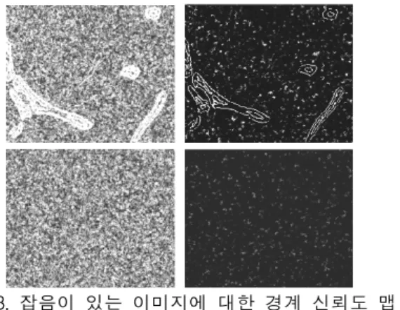 Fig.  3.  Edge  confidence  map  for  noisy  image: