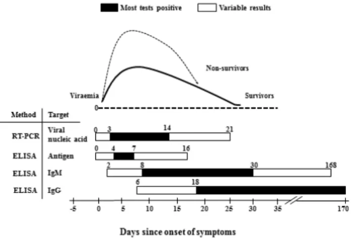 Fig.  1.  Diagnostic  laboratory  tests  can  be  expected  after  symptom onset.  The  average  viraemia  of  Ebola  virus  disease  in  survivors  and  non-survivors