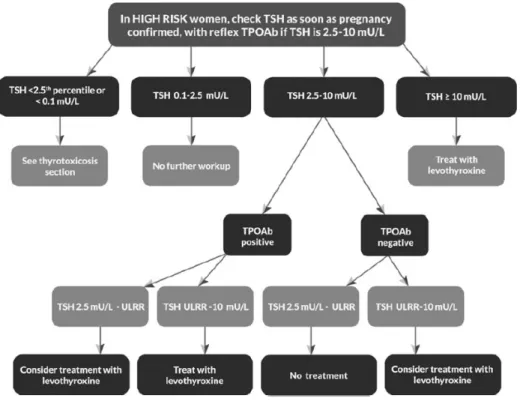 Figure  1.  Testing  for  thyroid  dys- dys-function  in  pregnancy.  ULRR,  upper  limit  of  the  reference  range