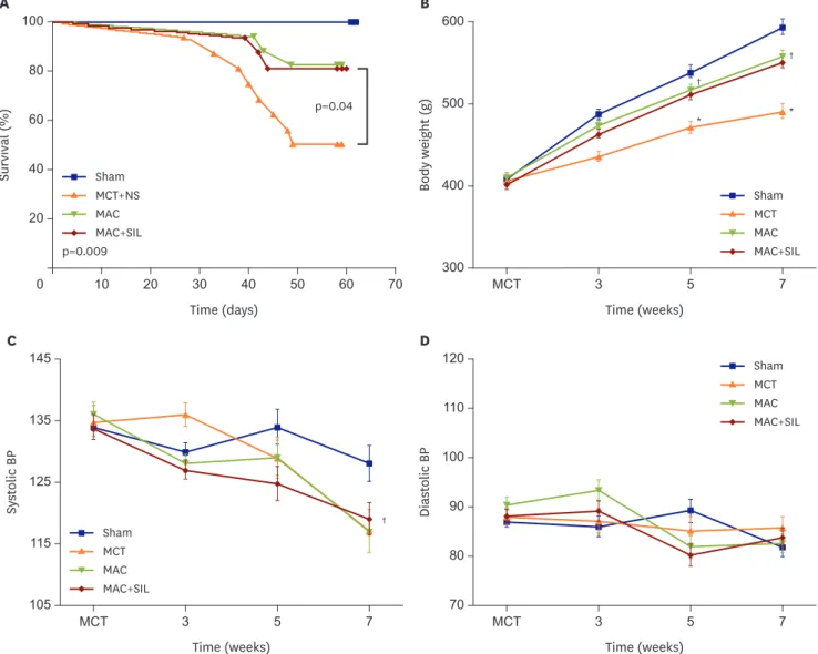 Figure 2. (A) Kaplan-Meier survival curves show a clear difference in survival between the MCT group and the MAC-based treatment groups (MAC and MAC+SIL  groups) (p=0.04)