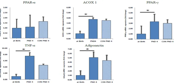 Figure  6.  The  mRNA  gene  expression  levels  associated  with  obesity  in  liver  of  offspring  at  different  time  points