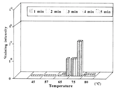 Fig.  5.  Relationship  between  staining  intensity  and  temperature in  AgNORs stain