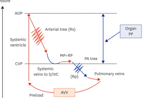 Figure 1. Fontan hemodynamics without failure. In Fontan patients, the SV supports systemic circulation