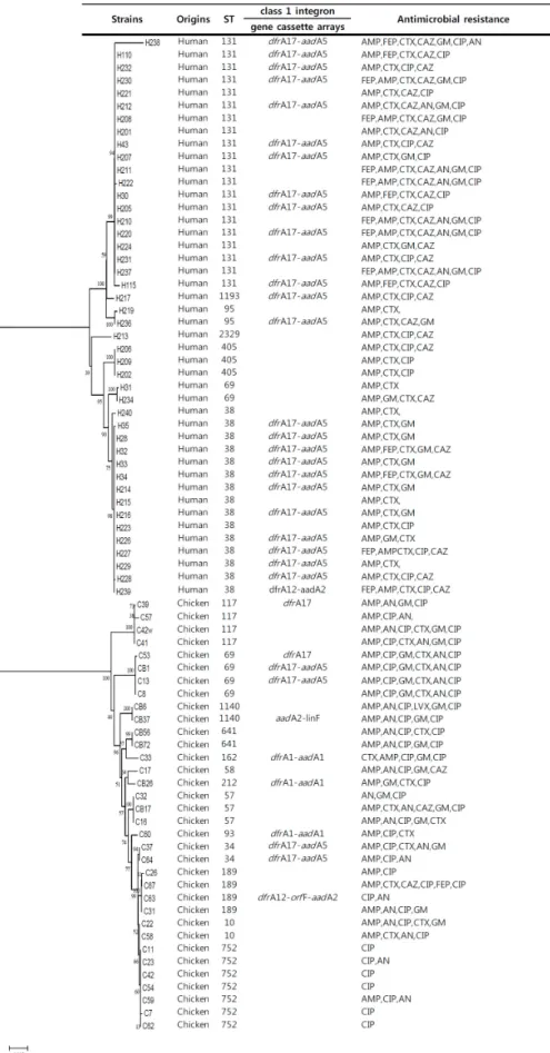 Fig.  1.  Characteristics  and  phylogenetic  tree  based  on  MLST  for  E.  coli   isolates.
