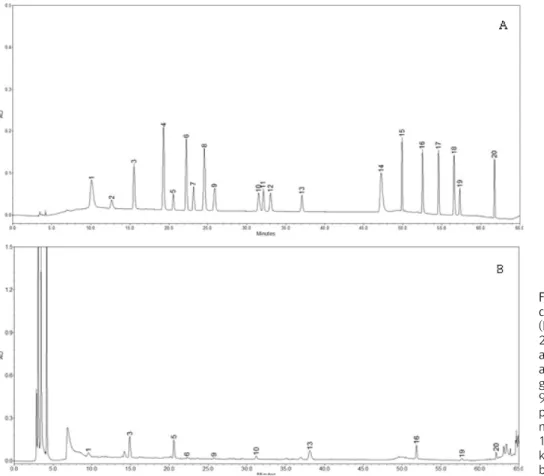 Fig.  1.  HPLC  analysis  of  phenolic  compounds.  (A)  standard  compounds; 