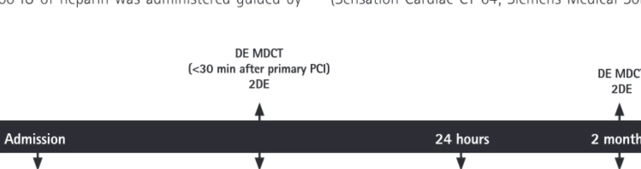 Fig. 1. Scheme of the study protocol. CK: creatine kinase, CKMB: creatine-kinase MB, Tn-I/T: troponin-I/T, hs-CRP: high-sensitivity C-reactive protein,  NT-proBNP: N-terminal pro-B-type natriuretic peptide, DE MDCT: delayed enhancement multidector computed