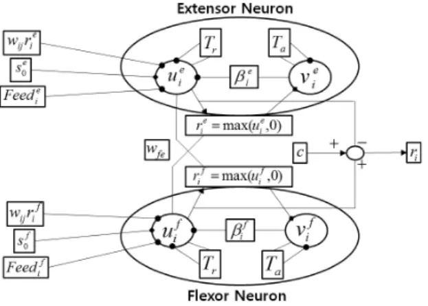 Fig.  2.  Structures  of  CPG  connections        그림  2는  CPG  파형을  생성하기  위한  CPG  네트워크의  연결  구조이다