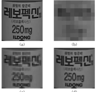 Fig.  4.  Decimation  Image  (a)  Normalized  Label  Image  (b)  10x10  (c)  30x30  (d)  50x50
