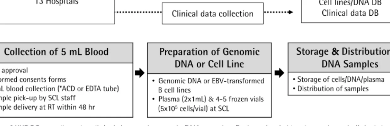 Fig. 2. Work process of KKDGC to collect the clinical data and genomic DNA samples. Each patient’s blood sample and clinical data were collected using  standard protocol