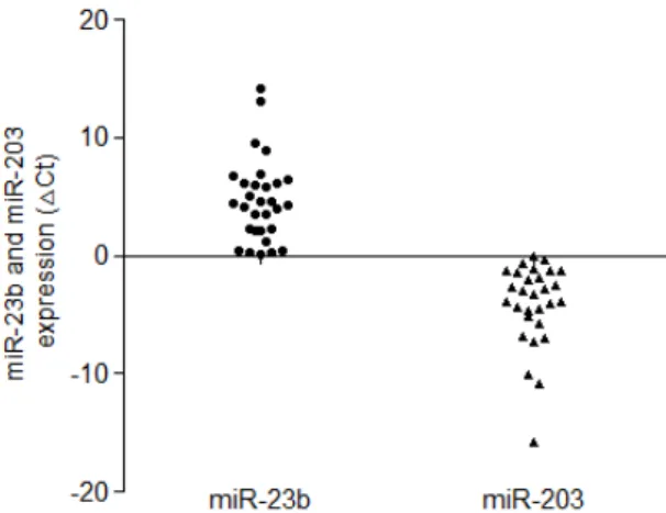 Table  1.  Relationship  between  miR-23b  and  miR-203  in  endometrial  cancer  tissues