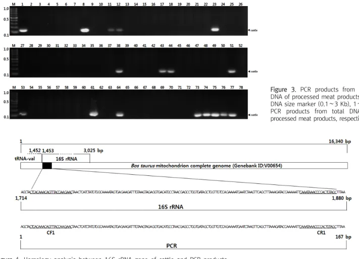 Figure  3.  PCR  products  from  total  DNA  of  processed  meat  products.  M: 