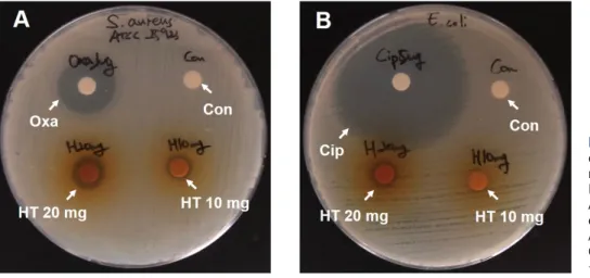Figure  1.  Antibacterial experiments on  each  bacteria  by  disk  diffusion  method