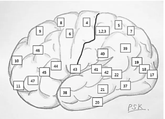 Fig.  5.  Illustrated  Lobe  of  brain. Fig.  7.  Illustrated  principle  of  phase-reversal.