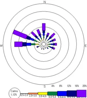 Table 1. Frequency of annually averaged wind direction detected at Guduck mountain for four years from 2004 
