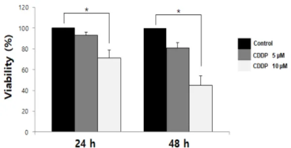 Figure 1. Effects of Cisplatin on viability in SKOV3 cells. Cells were  seeded  in  96-well  plates  and  treated  with  5  M  and  10  M  concentrations of cisplatin, and cell viability was determined with the  MTT  assay
