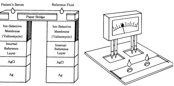 Fig.  5.  Principle of the PM  slide technology 