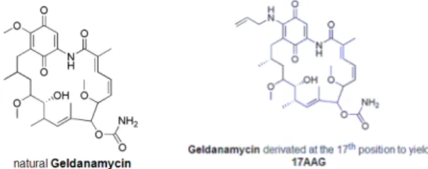 Figure  1.  Chemical  structures  of  geldanamycin  and  17-AAG.