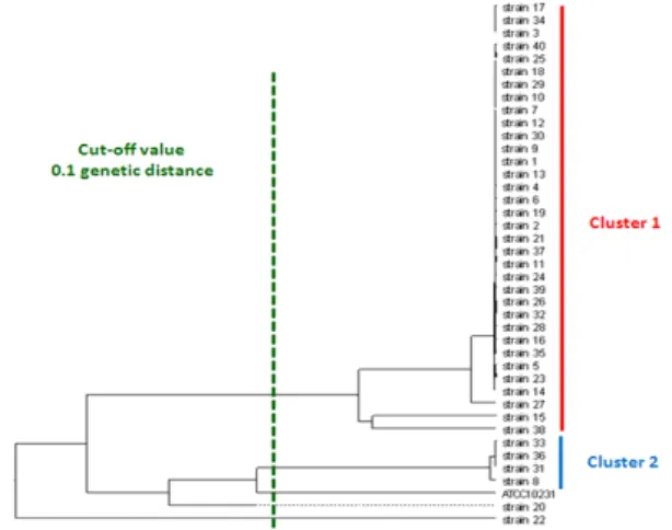 Table  5.  Classification  sub-cluster  of  clinical  isolated  C.  albicans 32  strains