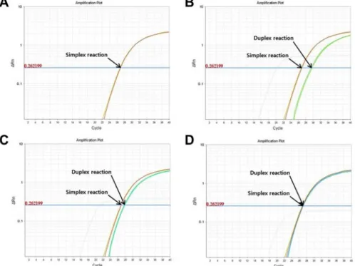 Figure  1.  Optimization  of  duplex  TaqMan  qPCR.  (A)  Simplex  reaction-  amplified  D 