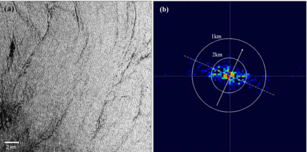 Figure 3a presents an example of a subset of SIR- SIR-C image with a size of 20 by 20 km
