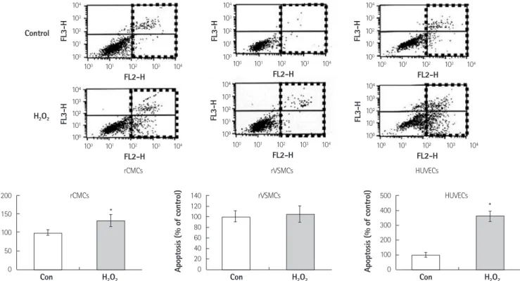 Fig. 1. FACS and the detection of rCMC, rVSMC, and HUVEC apoptosis under hydrogen peroxide-induced oxidative stress
