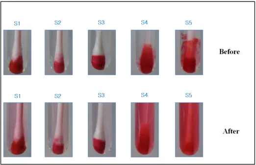 Figure  1.  In  the  absorption  and  release  evaluation  using  Safranin  O,  the  flock  swabs  (S4,  S5)  can  be  observed  visually  better  than  the  standard  swabs  (S1,  S2,  S3).