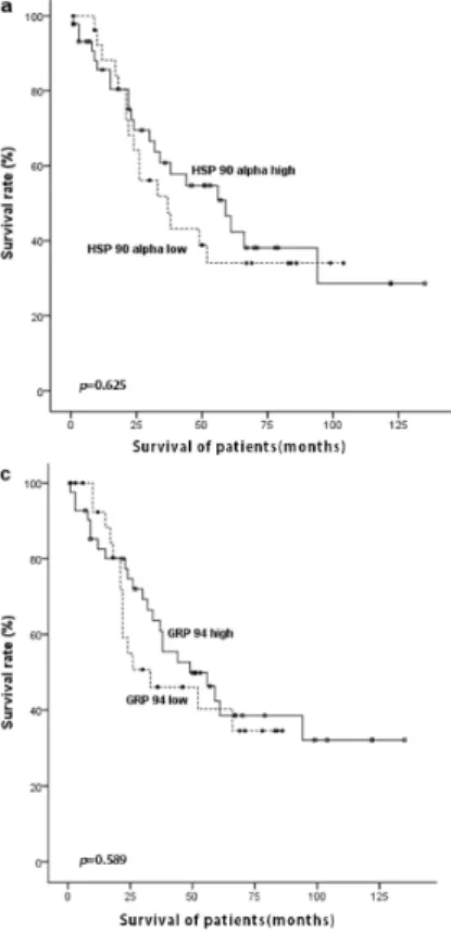 Figure  3.  Survival  analysis  of  72  non-small  cell  lung  cancer  using  the  Kaplan-Meier  method