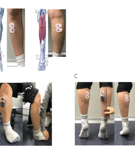 Figure  1.  Measuring  EMG  on  the  legs. 