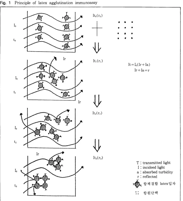 Fig.  1  Principle  of  latex  agglutination  immunoassy 