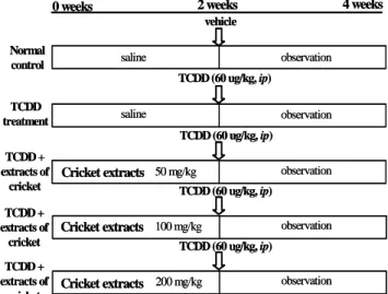 Fig. 1. Protocol for study of preventive effects of cricket extracts  against toxicity induced by 2,3,7,8-Tetrachlorodibenzo-p-dioxin in  rats