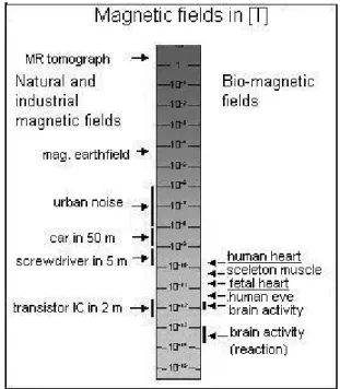 Fig. 1. The magnetic signal of the heart is very small.