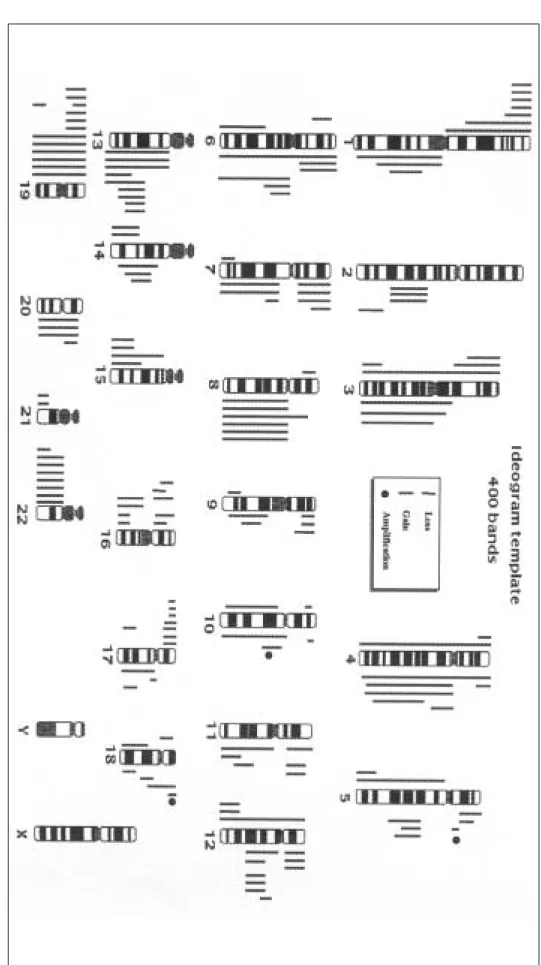 Fig. 2  Summary of the genetic aberrations detected by comparati ve genomic hybridization in 13 intrahepatic cholangiocarcinomas 