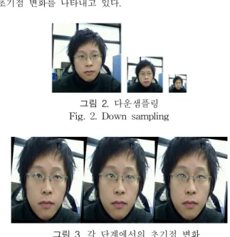 Fig.  2.  Down  sampling