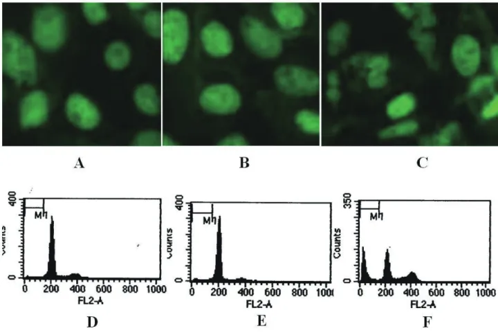 Fig. 2 	shows	the	time	course	of	H 2 O 2 -induced	necrotic	 cell	death.	Cells	were	exposed	to	1.0	mM	H 2 O 2  ,	and	cell	vi-ability	was	determined	at	various	time	points	(0-180	min).	