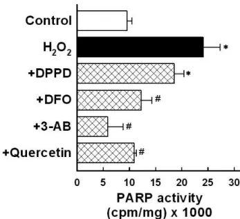 Table 1 .  Effects of various drugs on oxidant-induced cell  death in T84 cells