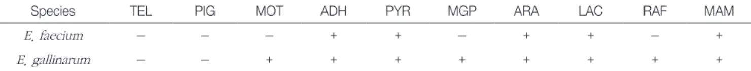 Table 2 . Properties of E. faecium and E. gallinarum