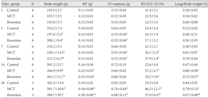 Table 2. Changes in body weight, RV weight, LV and septum weight and RV/LV+septum, lung/body weight