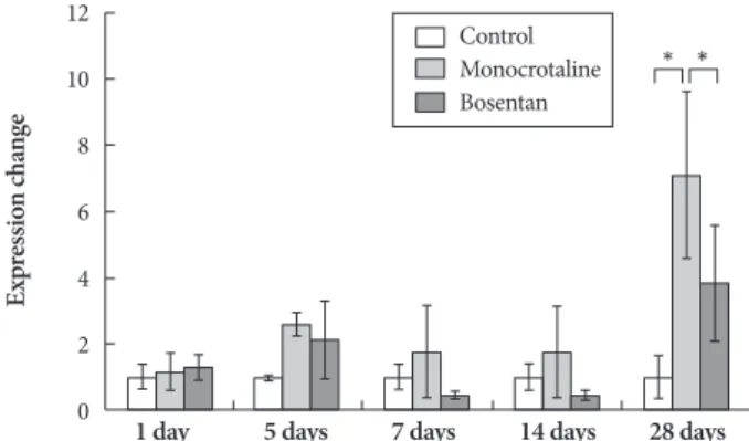 Fig. 4. Gene expression of matrix metalloproteinase 2 after bosentan  treatment. *p<0.05 significantly different from control.