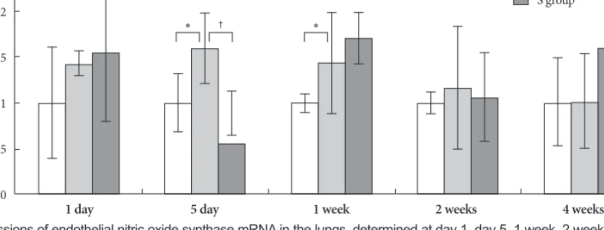 Fig. 6. Gene expressions of endothelial nitric oxide synthase mRNA in the lungs, determined at day 1, day 5, 1 week, 2 weeks and 4 weeks after  simvastatin treatment