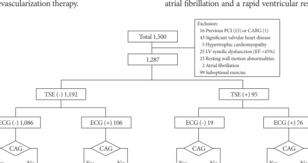 Fig. 1. Schematic diagram of the study population according to the exercise test and coronary angiography results