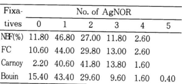 Table  4.  Distribution  of  AgNORs  per  nucleus  in  normal  liver tissue. 