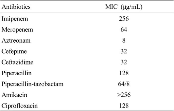 Table 1. The minimal inhibitory concentration (MIC) of VIM-2  MBL producing P. aeruginosa