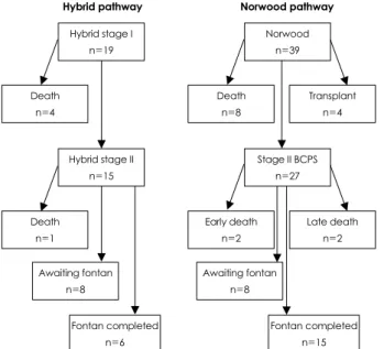 Fig. 7. Kaplan-Meier survival analysis comparing the hybrid and Norwood groups. There was no difference in 1-year survival  (hy-brid, 73% vs