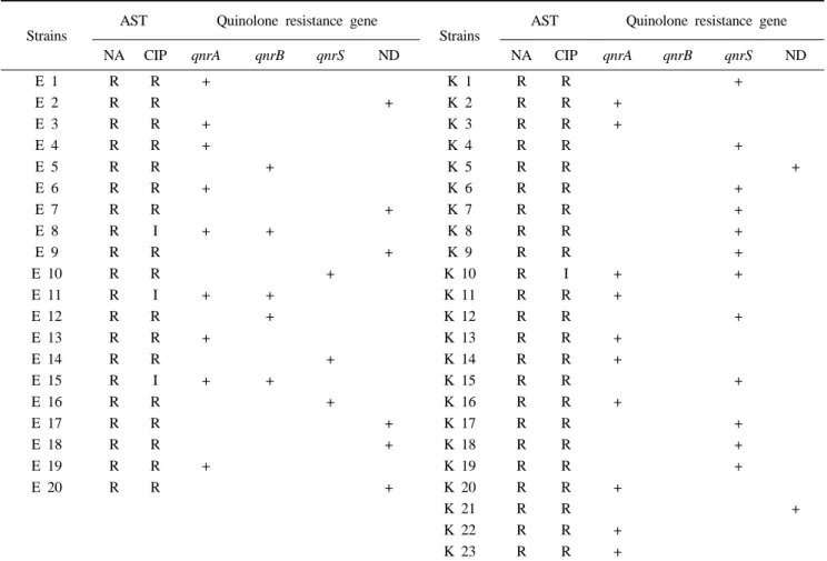Table 1. List of ESBL producing quinolone resistance E. coli and K. pneumoniae isolates used in this study10 × PCR buffer 2 μL, primer 10 pmol 각각 1  μL씩 넣었