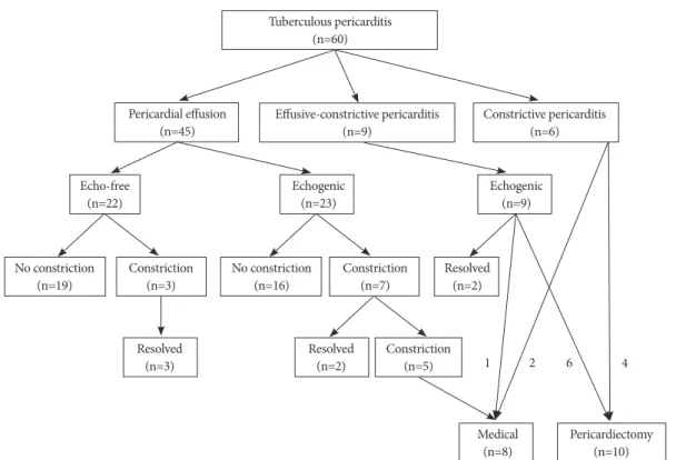 Fig. 2. Clinical outcomes of tuberculous pericarditis patients according to clinical and echocardiographic classifications