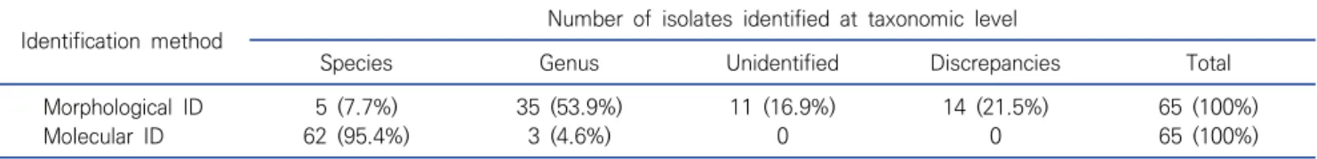 Table  2.  Comparison  of  identification  by  morphological  criteria  with  sequence  analysis 